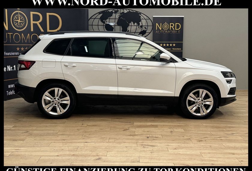 Skoda Karoq Karoq Style 2.0 TDI DSG AHK*Navi*18&apos;&apos;*Kamera*