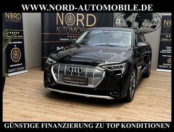 Audi e-tron e-tron 50 S-Line QU. Kamera*Navi*LED*20&apos;&apos;*