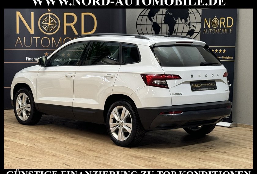 Skoda Karoq Karoq Style 2.0 TDI DSG AHK*Navi*18&apos;&apos;*Kamera*