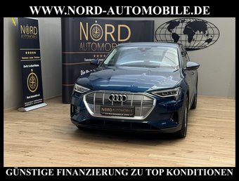 Audi e-tron E-tron 50 QU. Teilleder*Navi*B&amp;O*Virt.Cockp*