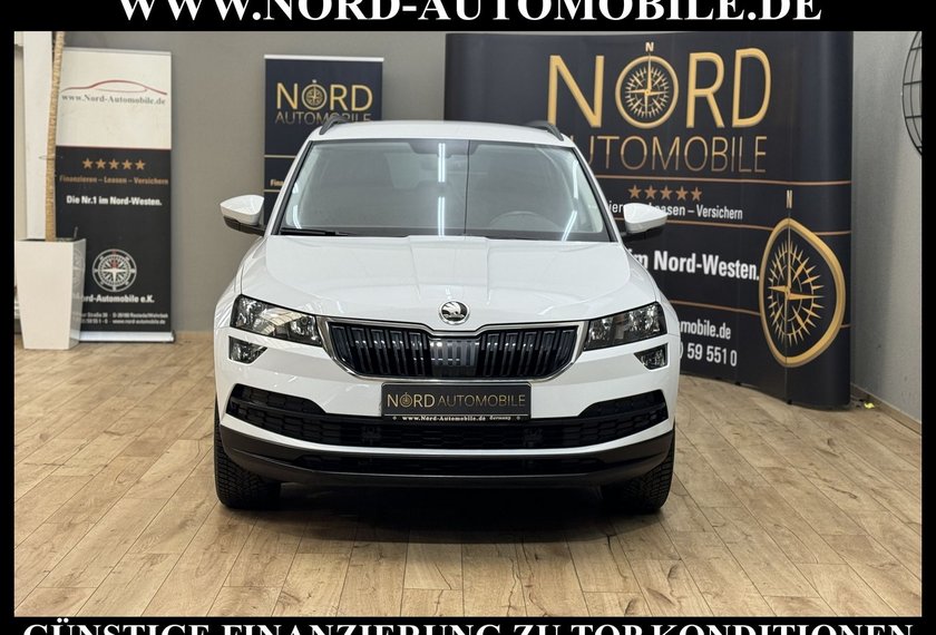 Skoda Karoq Karoq Style 2.0 TDI DSG AHK*Navi*18&apos;&apos;*Kamera*