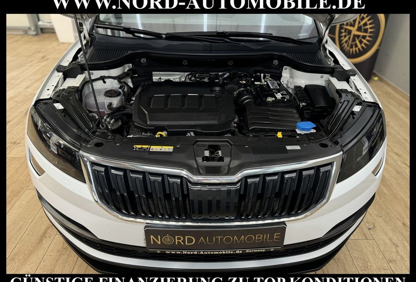 Skoda Karoq Karoq Style 2.0 TDI DSG AHK*Navi*18&apos;&apos;*Kamera*