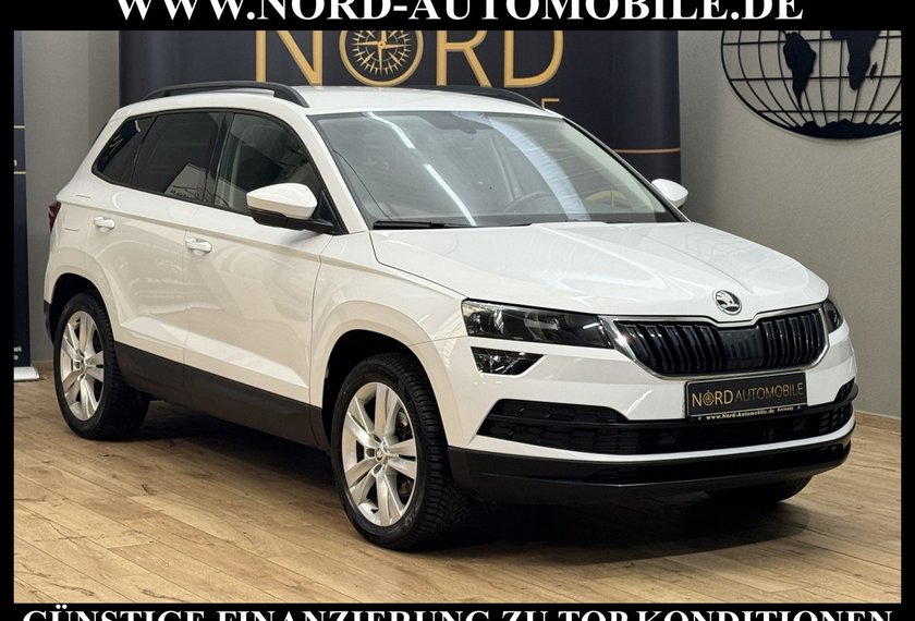 Skoda Karoq Karoq Style 2.0 TDI DSG AHK*Navi*18&apos;&apos;*Kamera*